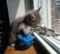 /album/imagens%20engra%c3%a7adas%20%5e-%5e/a01-humorcegando-jpg/