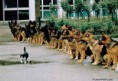 /album/imagens%20engra%c3%a7adas%20%5e-%5e/a07-humorcegando-jpg/